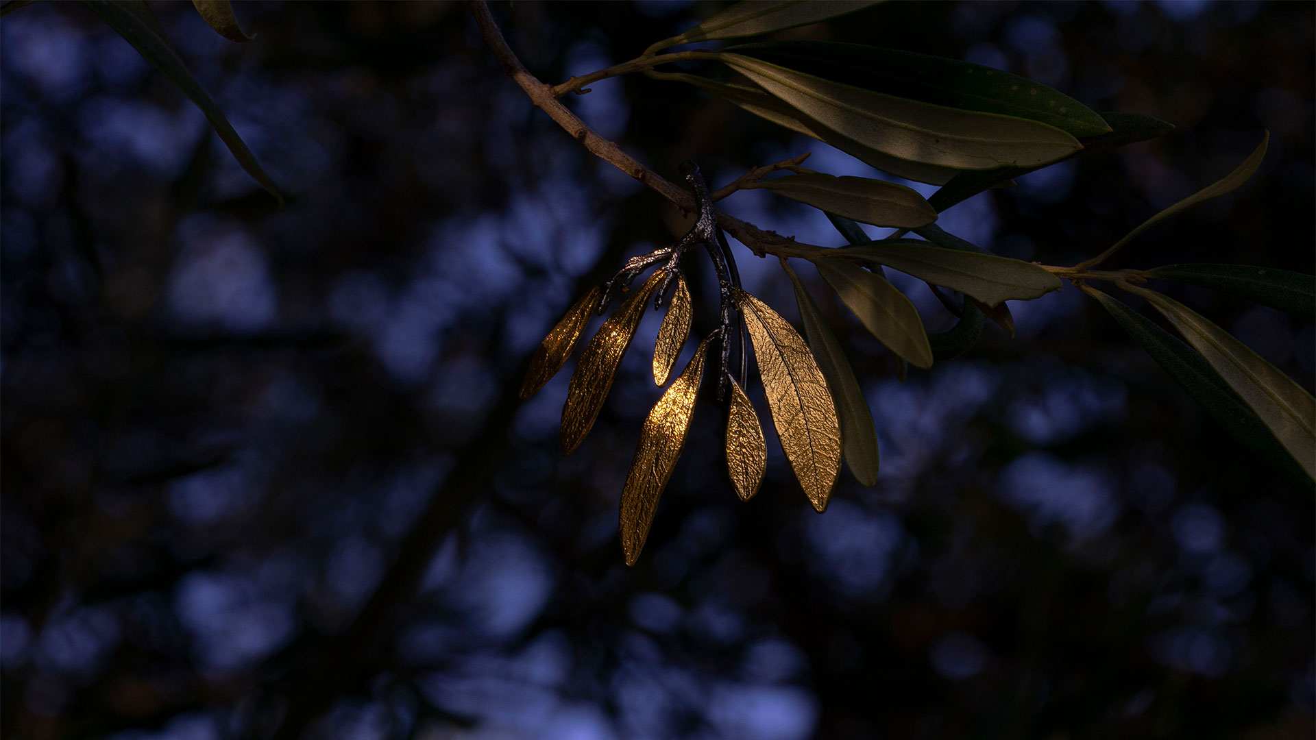 Untitled-[